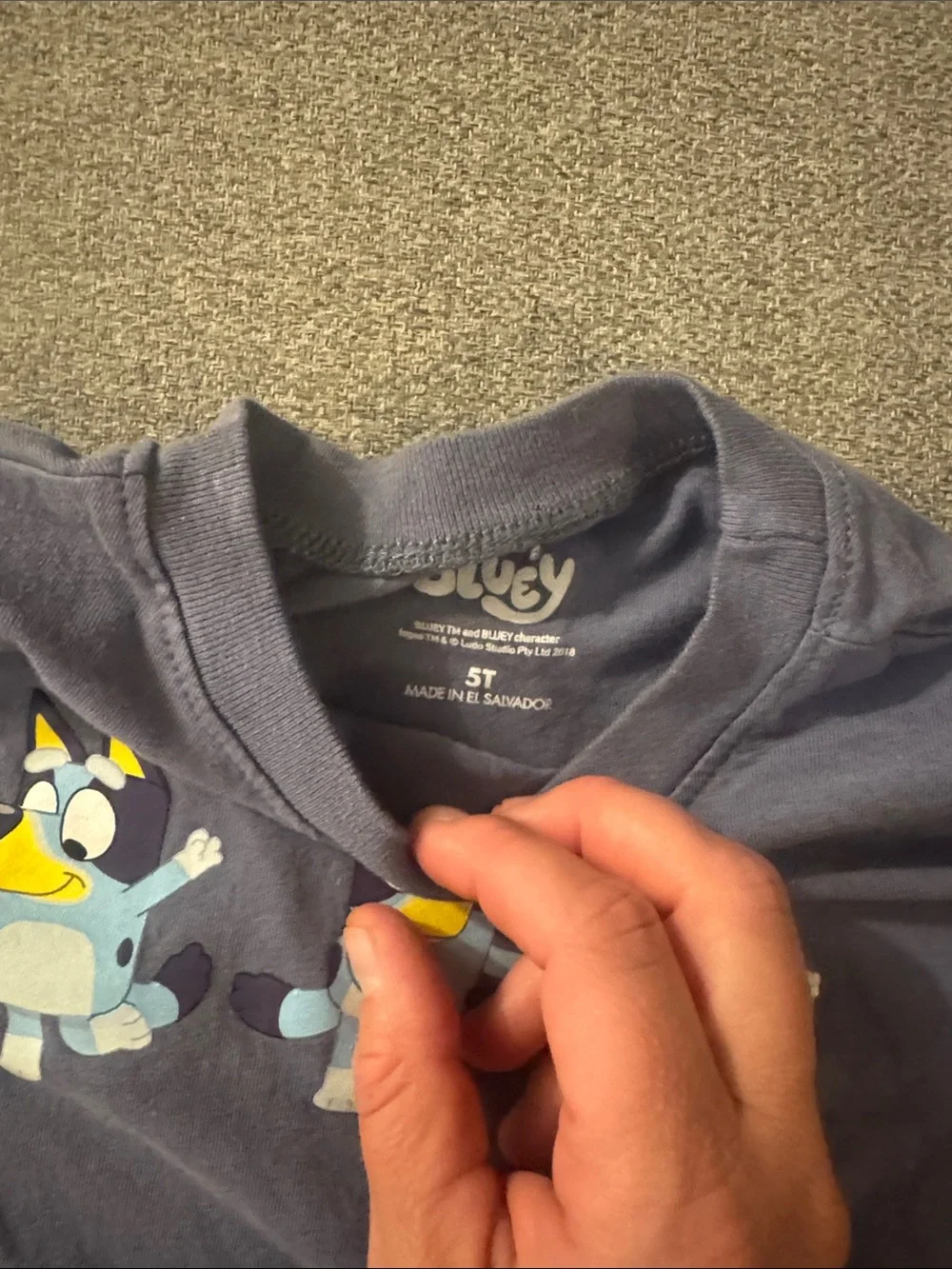 5/$15- Kids Blue Graphic Tee with Cartoon Puppies